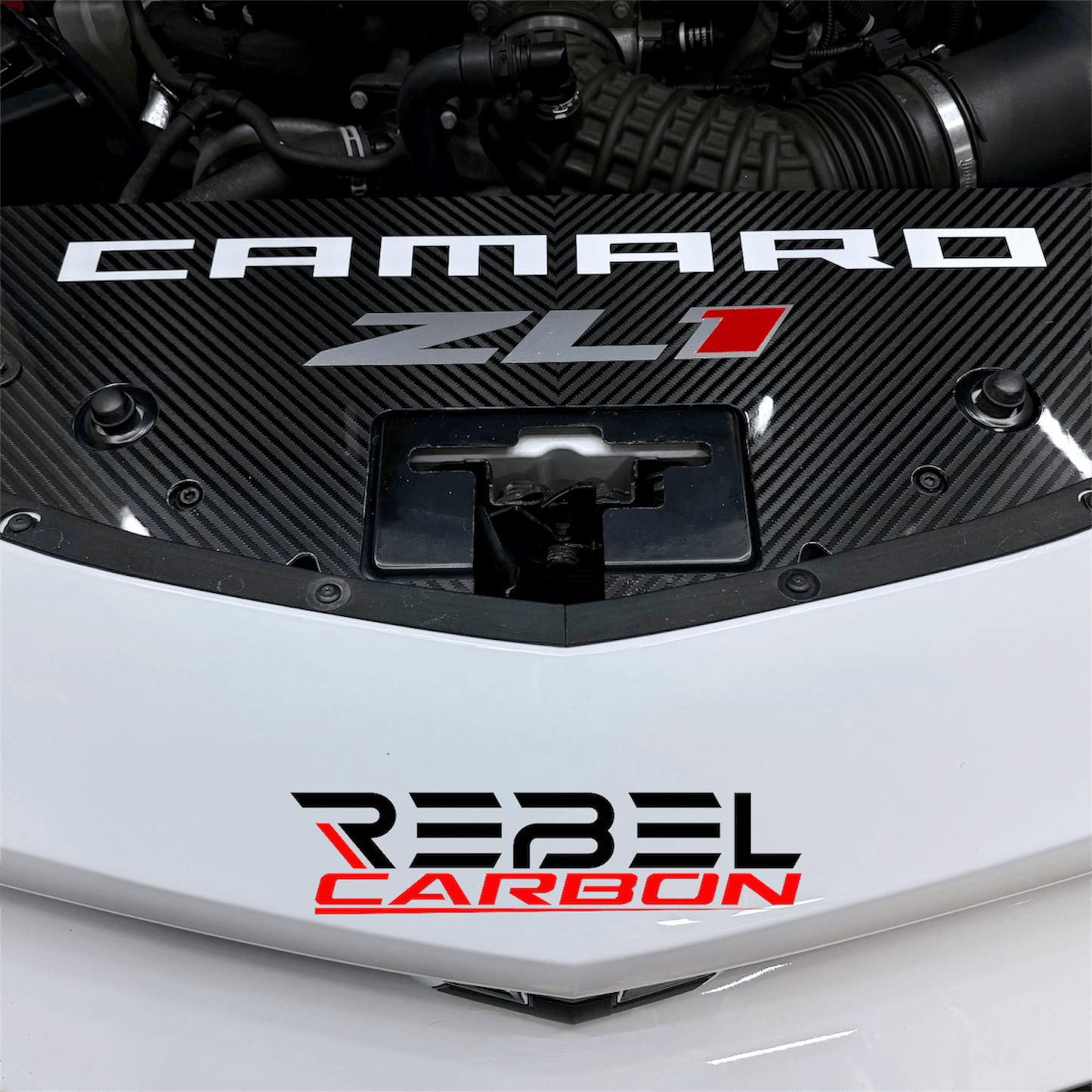 
                  
                    2016–2024 Camaro Carbon Fiber Extended Radiator Cover
                  
                