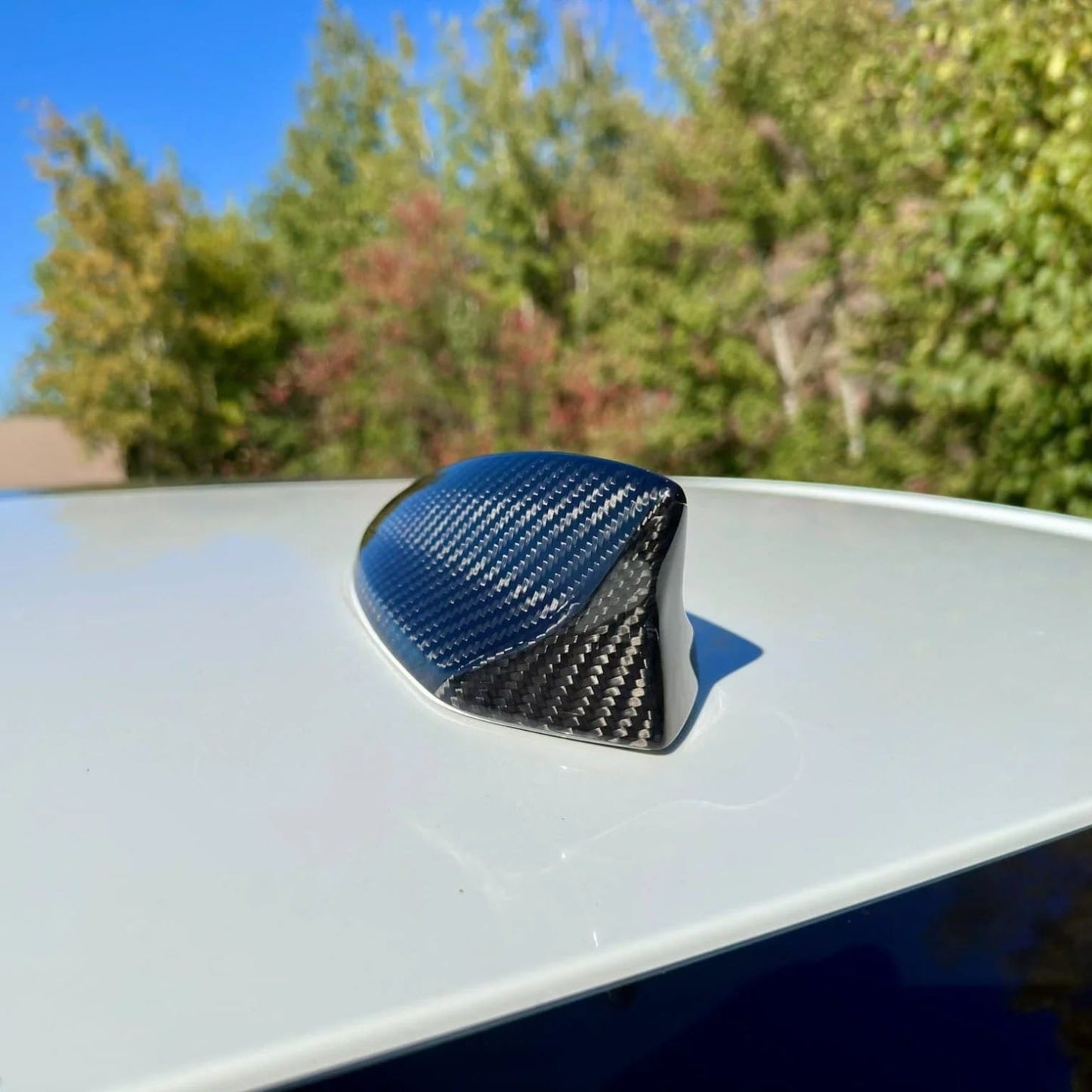 Rebel Carbon Fiber shark fin antenna cover in gloss carbon fiber installed on a white Chevrolet Camaro roof
